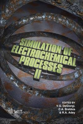 Simulation of Electrochemical Processes - 