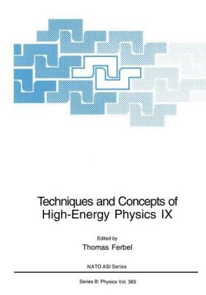 Techniques and Concepts of High-Energy Physics IX - 