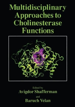 Multidisciplinary Approaches to Cholinesterase Functions - 