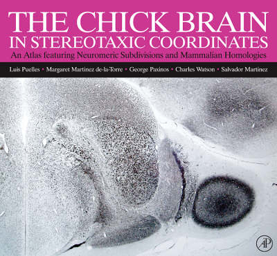 The Chick Brain in Stereotaxic Coordinates - Luis Puelles, Margaret Martinez-De-La-Torre, Salvador Martinez, Charles Watson, George Paxinos