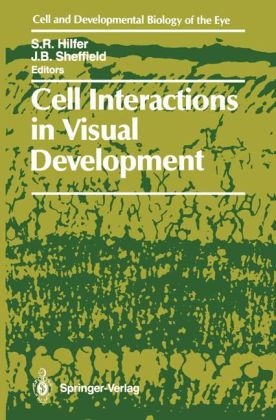 Cell Interactions in Visual Development - 