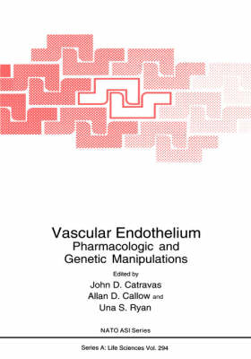 Vascular Endothelium - 