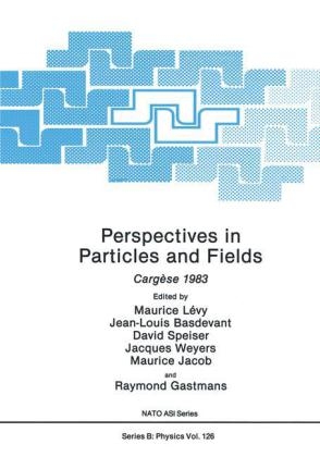 Perspectives in Particles and Fields - 