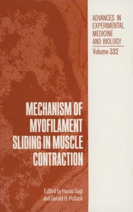 Mechanism of Myofilament Sliding in Muscle Contraction - 