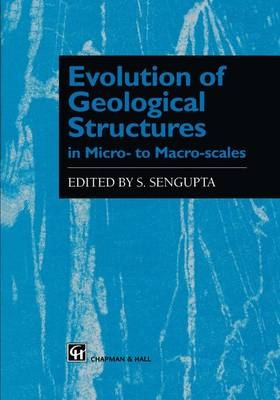 Evolution of Geological Structures in Micro- to Macro-scales - 