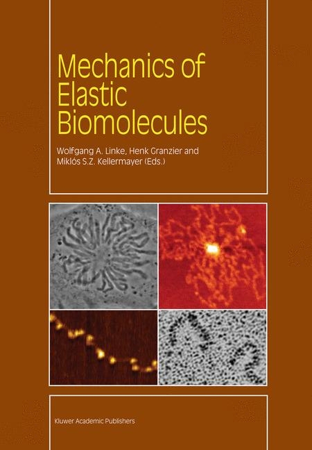 Mechanics of Elastic Biomolecules - 
