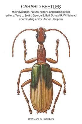 Carabid Beetles - 