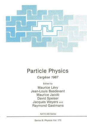 Particle Physics -  Maurice Levy