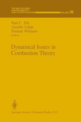 Dynamical Issues in Combustion Theory - 