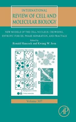 New Models of the Cell Nucleus: Crowding, Entropic Forces, Phase Separation, and Fractals - 