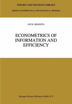 Econometrics of Information and Efficiency -  Jati Sengupta