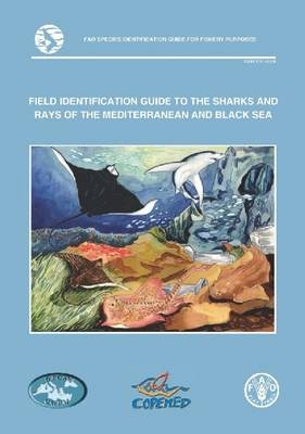 Field identification guide to the sharks and rays of the Mediterranean and Black Sea - Fabrizio Serena,  Food and Agriculture Organization