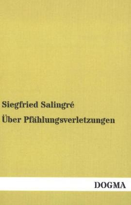 Über Pfählungsverletzungen - Siegfried Salingré