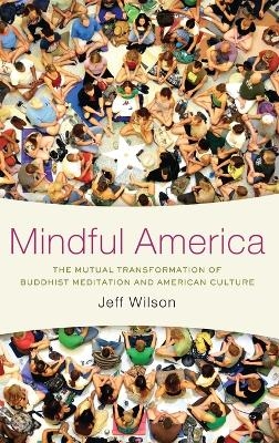 Mindful America - Jeff Wilson