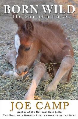 Born Wild - The Soul of a Horse - Joe Camp