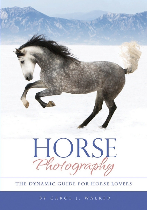 Horse Photography -  Carol J. Walker