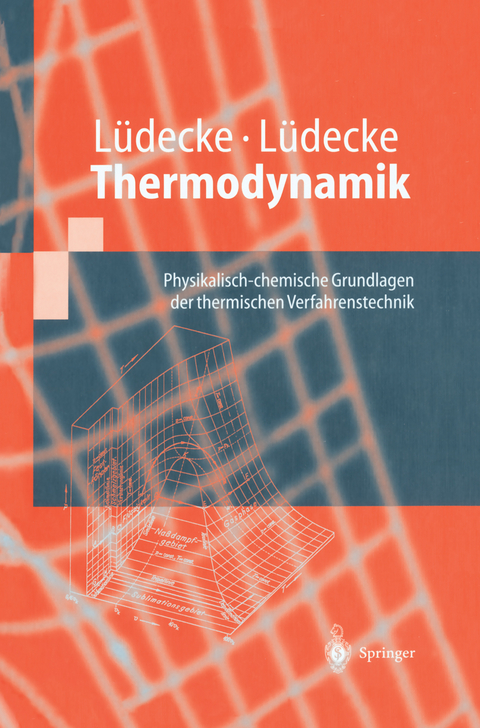 Thermodynamik - Dorothea Lüdecke, Christa Lüdecke