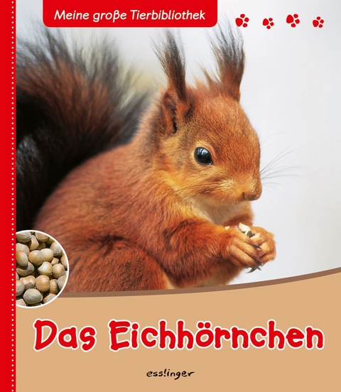 Meine große Tierbibliothek: Das Eichhörnchen - Stéphanie Ledu-Frattini