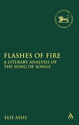 Flashes of Fire - Professor Elie Assis
