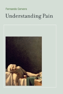 Understanding Pain - Fernando Cervero