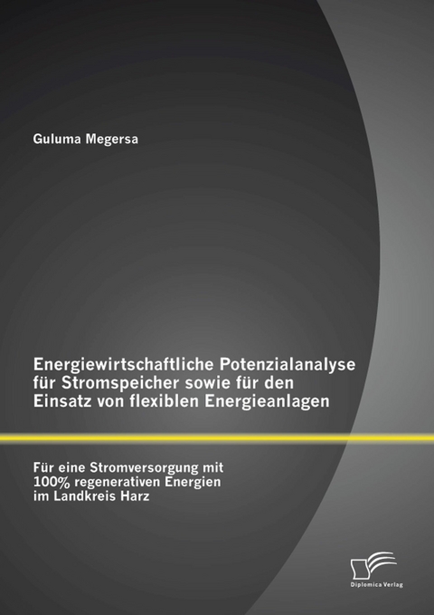Energiewirtschaftliche Potenzialanalyse für Stromspeicher sowie für den Einsatz von flexiblen Energieanlagen: Für eine Stromversorgung mit 100% regenerativen Energien im Landkreis Harz - Guluma Megersa