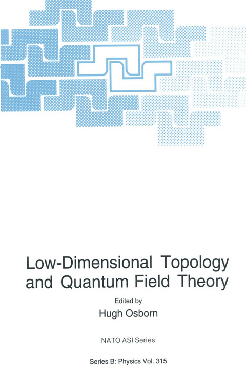 Low-Dimensional Topology and Quantum Field Theory - 
