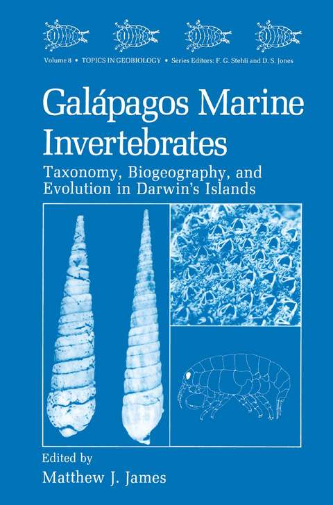 Galápagos Marine Invertebrates - 