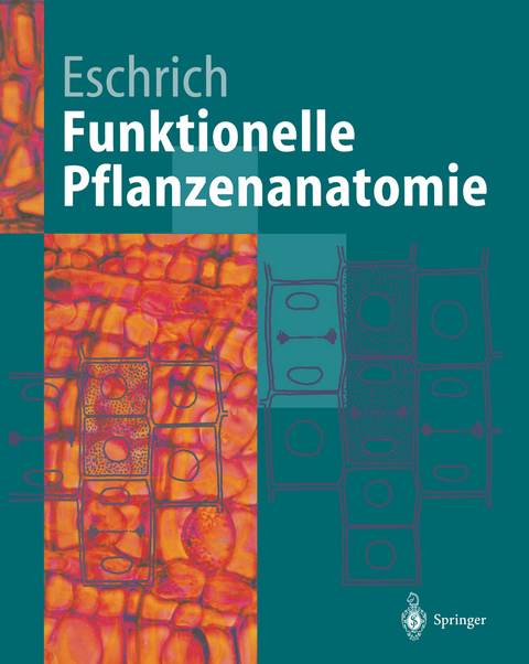 Funktionelle Pflanzenanatomie - Walter Eschrich