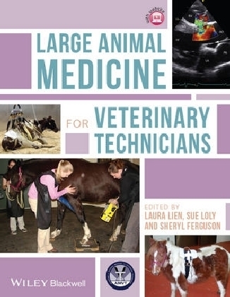 Large Animal Medicine for Veterinary Technicians - Laura Lien, Sue Loly, Sheryl Ferguson