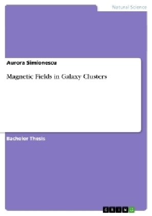 Magnetic Fields in Galaxy Clusters - Aurora Simionescu