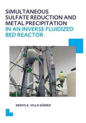 Simultaneous Sulfate Reduction and Metal Precipitation in an Inverse Fluidized Bed Reactor - Denys Kristalia Villa Gómez