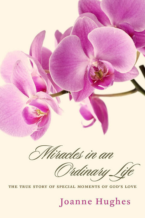 Miracles in an Ordinary Life -  Joanne Hughes