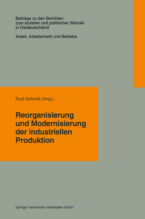 Reorganisierung und Modernisierung der industriellen Produktion - 
