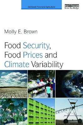 Food Security, Food Prices and Climate Variability - Molly Brown