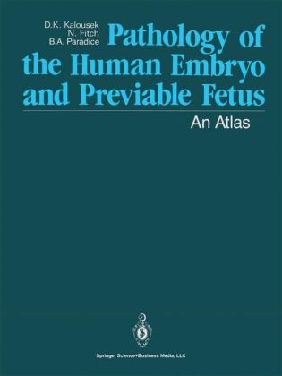 Pathology of the Human Embryo and Previable Fetus - D K Kalousek, Dagmar K Kalousek, Naomi Fitch, Barbara A Paradice, N Fitch
