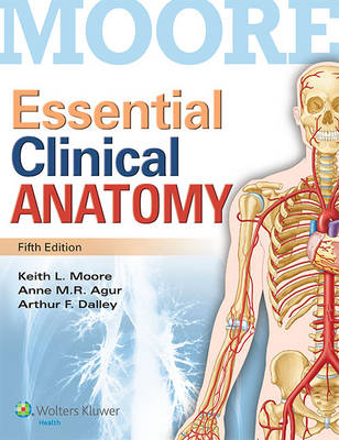 Essential Clinical Anatomy - Dr. Keith L. Moore, Anne M. R. Agur, Arthur F. Dalley