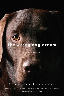 The Wrong Dog Dream - Jane Vandenburgh