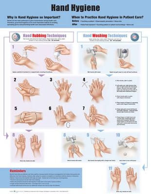 Hand Hygiene - 