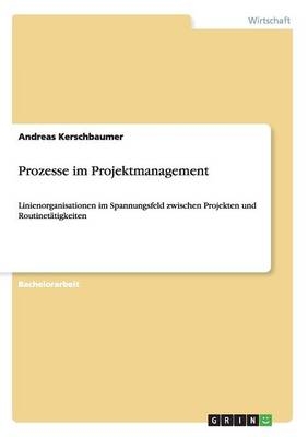 Prozesse im Projektmanagement - Andreas Kerschbaumer