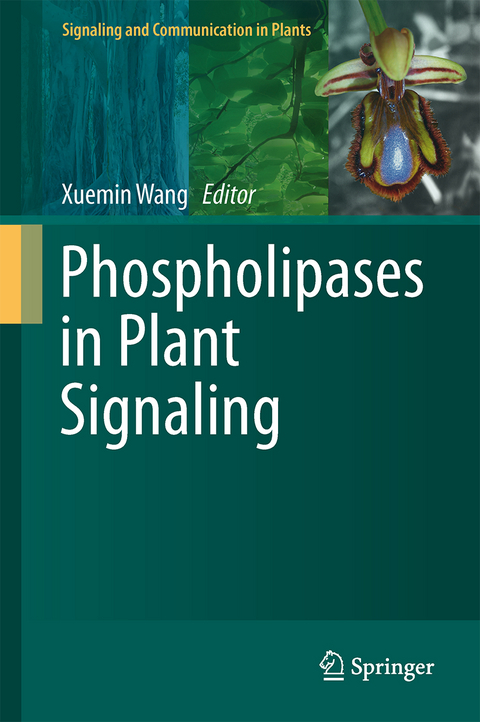 Phospholipases in Plant Signaling - 