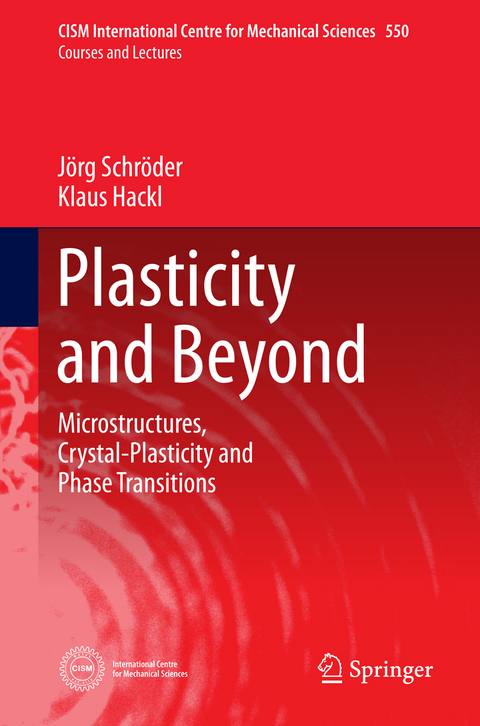 Plasticity and Beyond - Jörg Schröder, Klaus Hackl