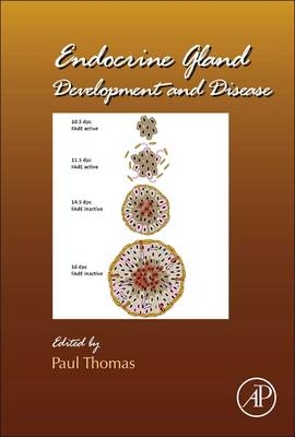 Endocrine Gland Development and Disease - 