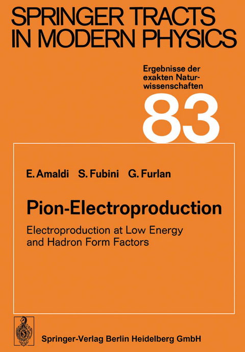 Pion-Electroproduction - Edoardo Amaldi, Sergio Fubini, Giuseppe Furlan