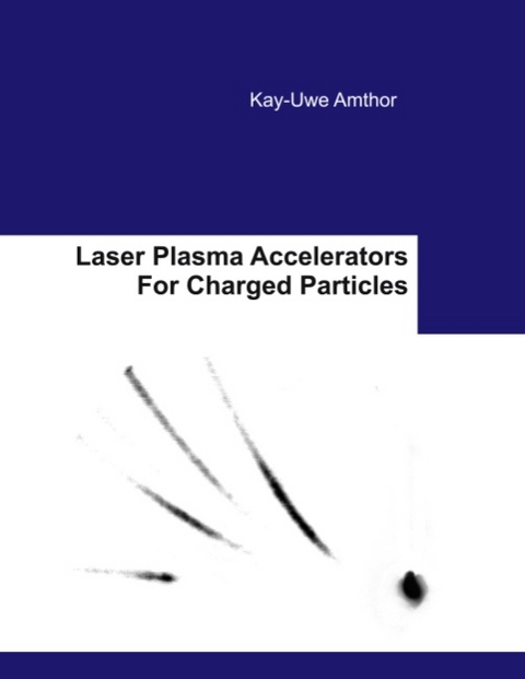 Laser Plasma Accelerators For Charged Particles - Kay-Uwe Amthor