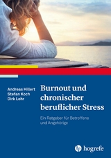 Burnout und chronischer beruflicher Stress - Andreas Hillert, Stefan Koch, Dirk Lehr