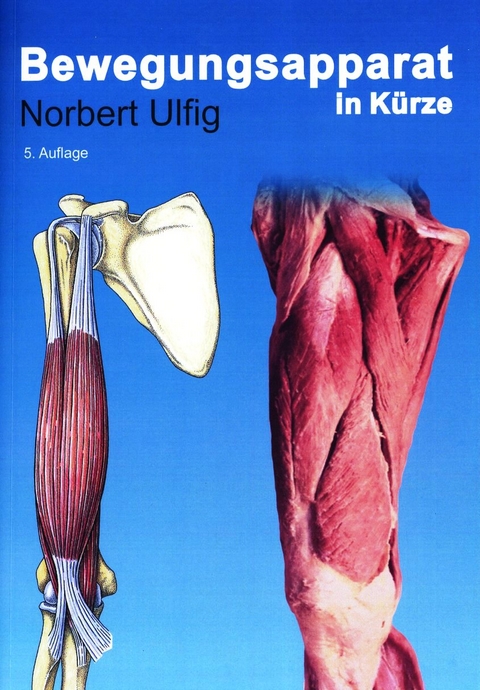 Bewegungsapparat in Kürze - Norbert Ulfig