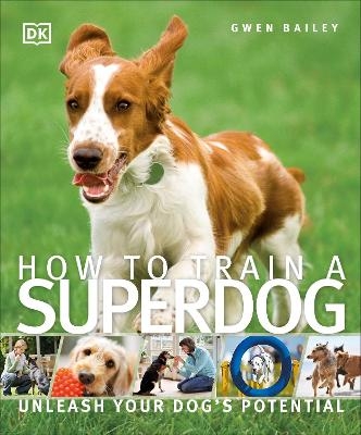 How To Train A Superdog - Gwen Bailey