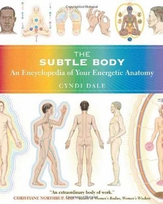 The Subtle Body - Cyndi Dale