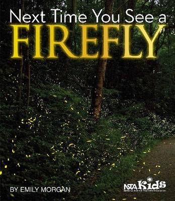 Next Time You See a Firefly - Emily Morgan