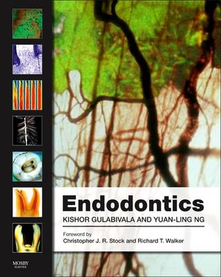 Endodontics - Kishor Gulabivala, Yuan-Ling Ng